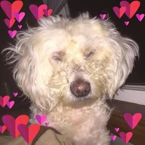 Meet your Posher, Kellyn